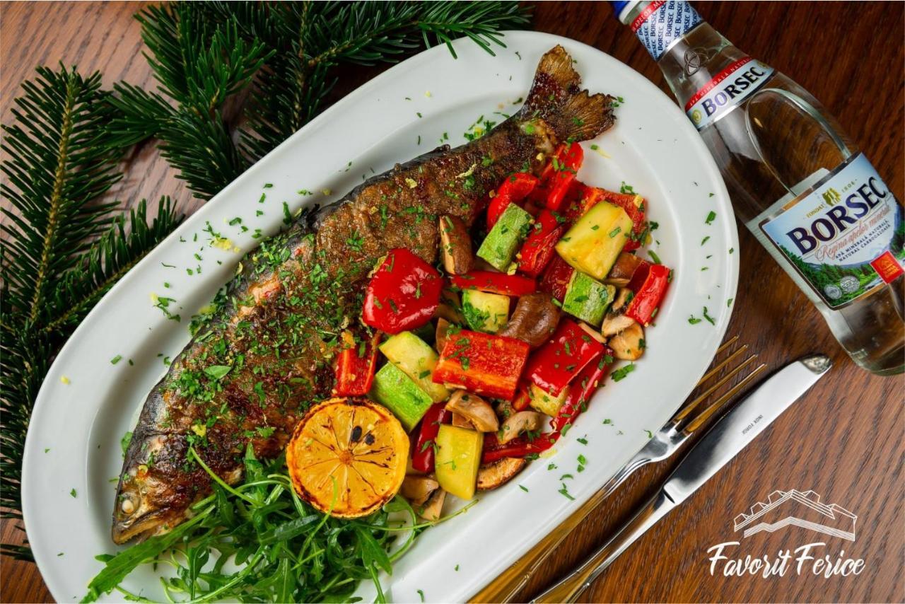 Pensiunea Favorit Ferice Hotel Borsec
